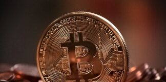 Kto jest właścicielem Bitcoin?
